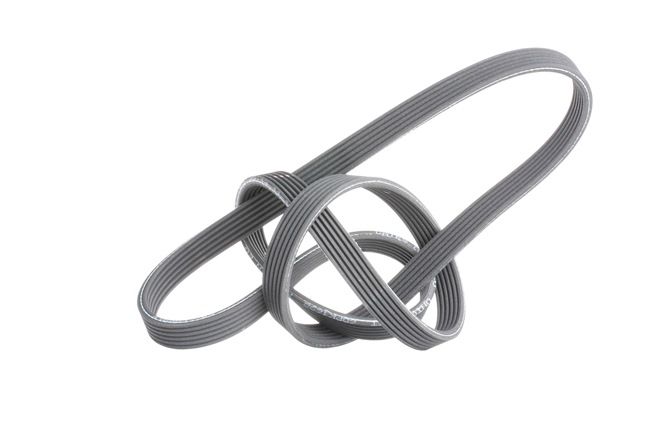 Shorter Fan Belt 120i Coupe Cup